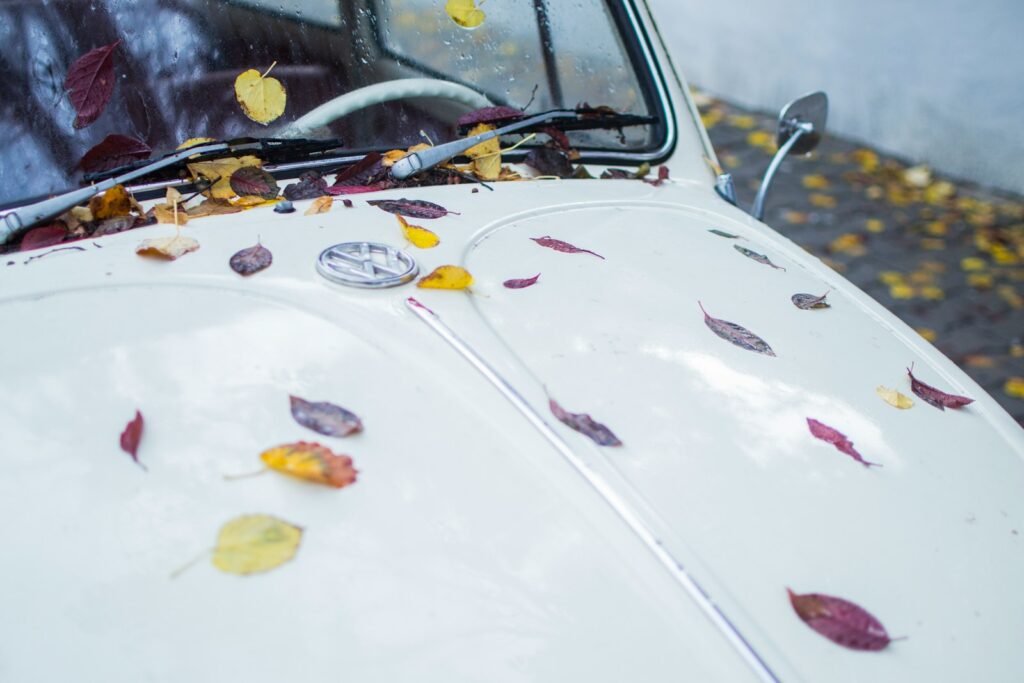 Is a Monthly Car Wash Membership Worth It? 1 white car