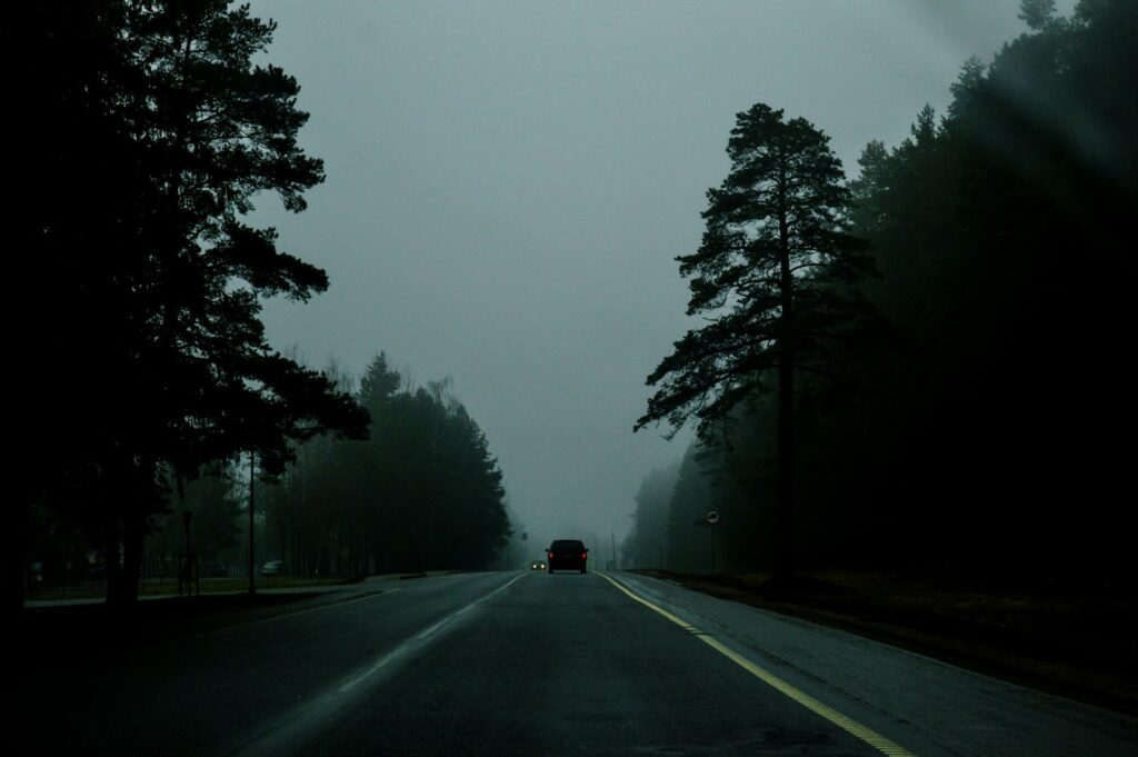 Best Scenic Drive in Frederick & How To Keep Your Car Clean After 3 A car driving down a road in the middle of a forest