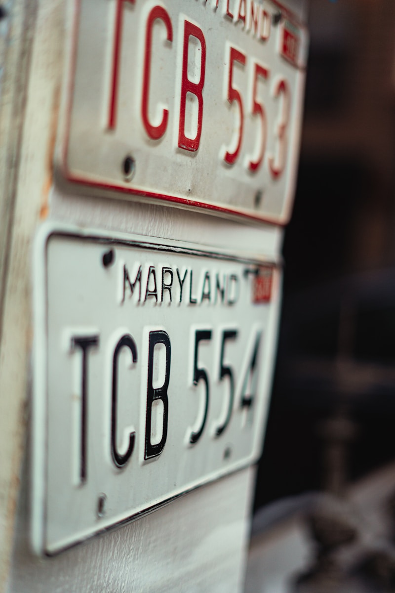 drivers license