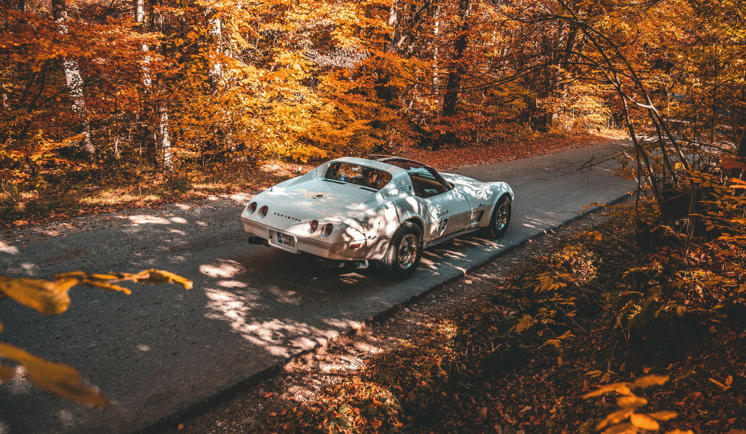 Car Detailing in Frederick, MD: Why Fall Is the Perfect Season for a Deep Clean