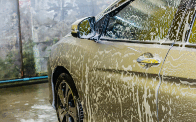 Full Service Car Wash in Frederick, Maryland: Protect Your Vehicle from Autumn Leaves and Road Grime