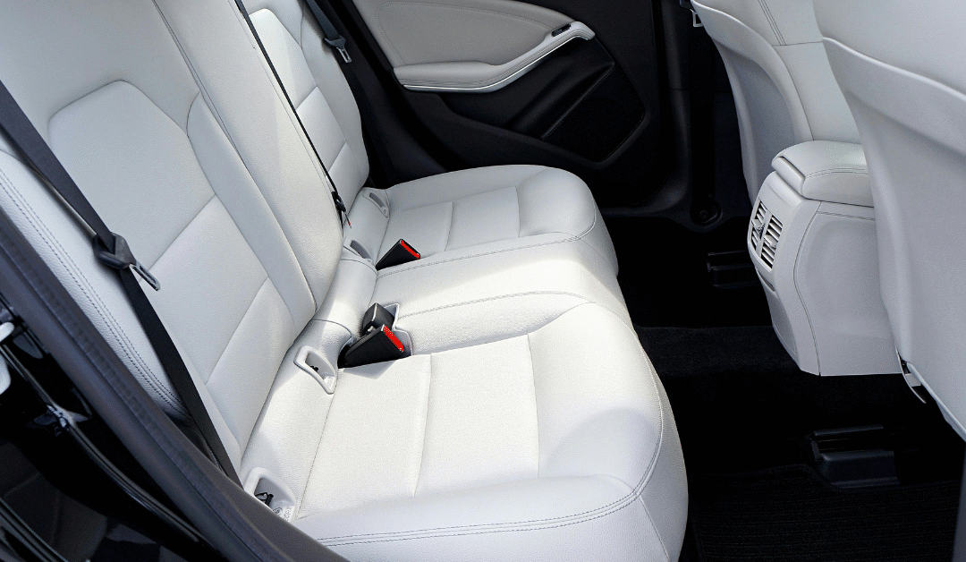 Interior Car Cleaning in Frederick, MD: Keep Your Cabin Fresh Through the Fall Season