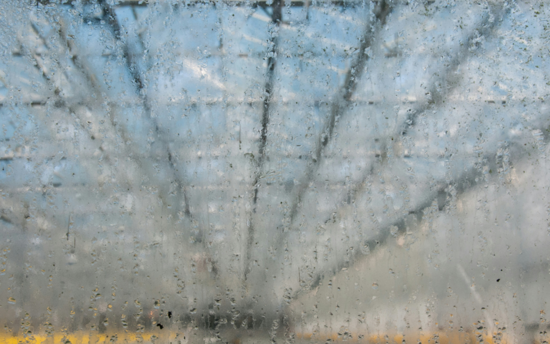 Drive Through Car Wash in Frederick: How Fusion Delivers a Detail-Like Finish